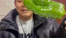 吃瓜事件网红数钱,数字背后的秘密与争议